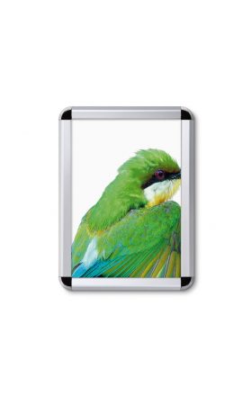 Foto - A1 Snap Frame, Tamper-proof, Rounded Corners (32 mm)